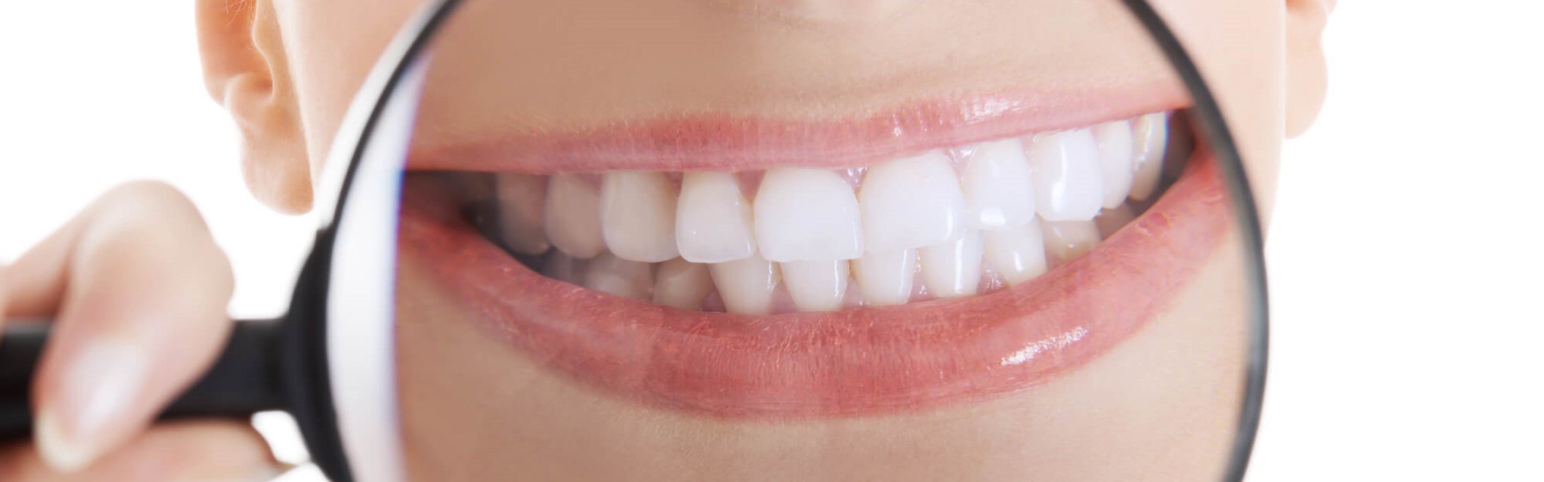 Zahnaufbau: So sind die menschlichen Zähne aufgebaut
